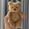 16cm