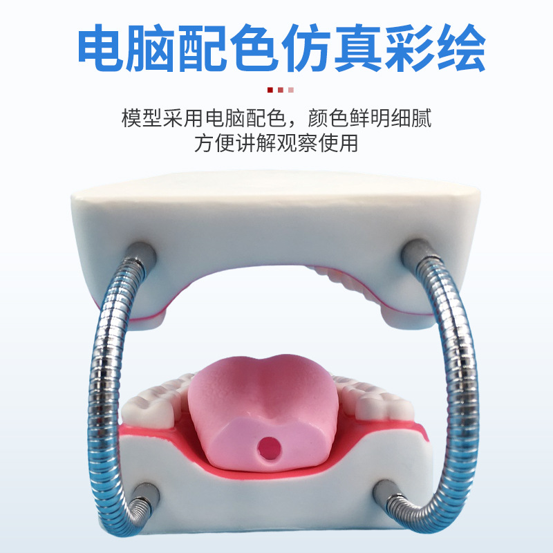 ����������ģ�ʹ����������ѧģ�� 6���Ŵ� ��ǻ������ģ��