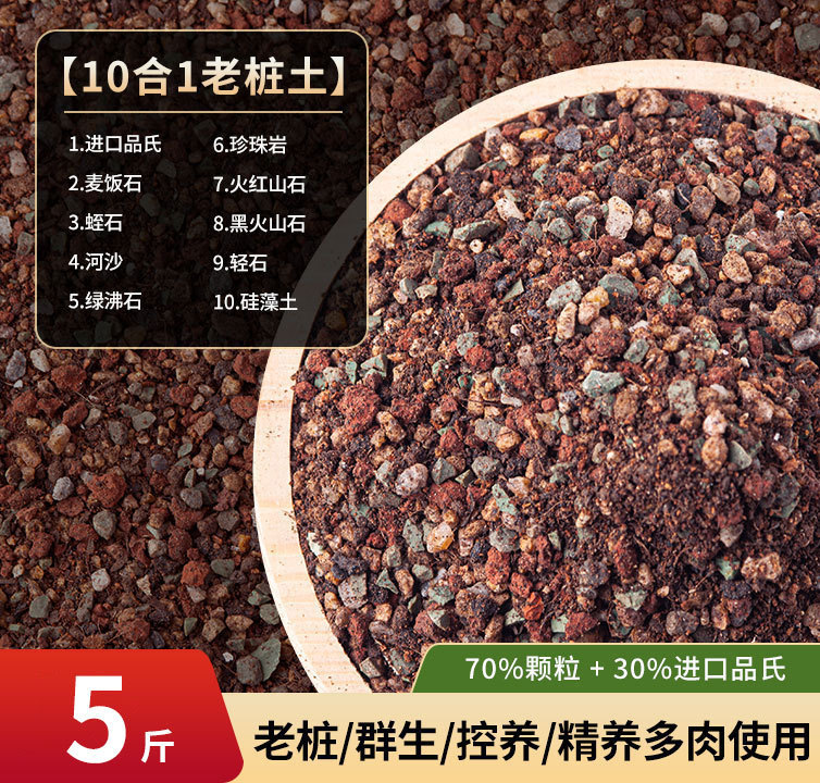 다육식물 오래된 파일토 2.5kg (70% 입자)