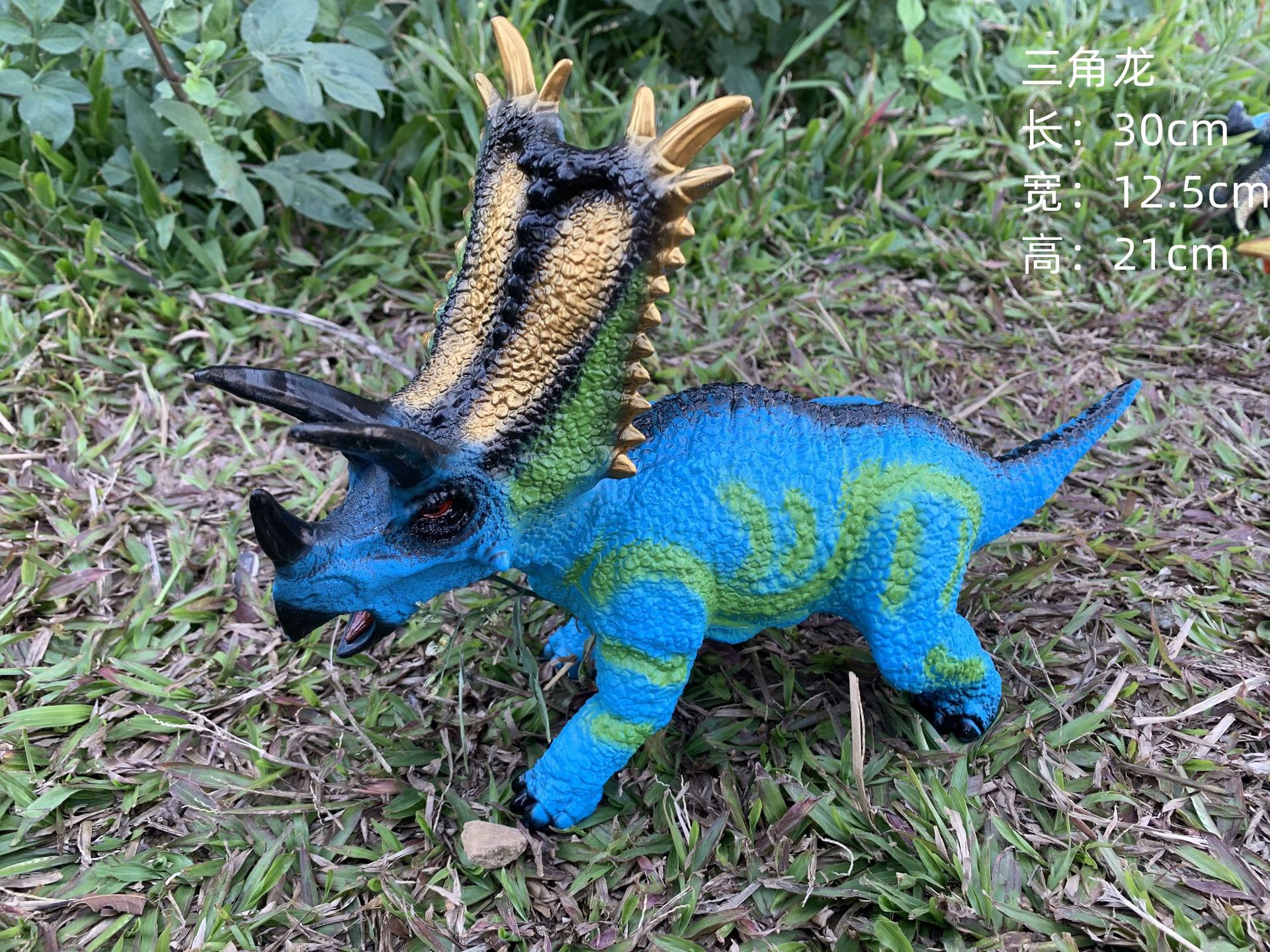 New Middle Triangle Dragon Blue