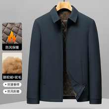 男式棉服秋冬款男士行政翻领轻便休闲骆驼绒夹棉保暖中青年男外套
