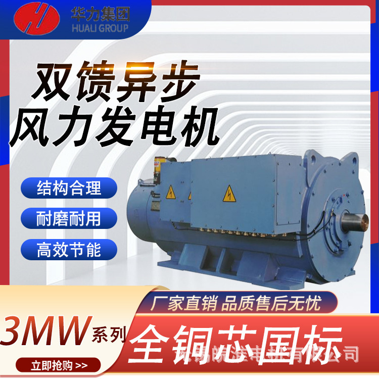 山东华力电机厂家直销3MW系列双馈异步风力三相异步发电机0.75kw