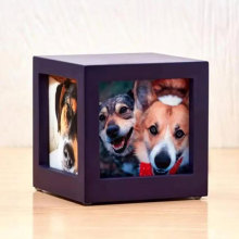 ľ�|�ǻҺ��¿�o��ǻҺК�����Ʒ�ײ�ľ�ЬF��������Ʒ���w�ܷ�