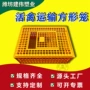 家用加厚塑料成鸡鸡笼