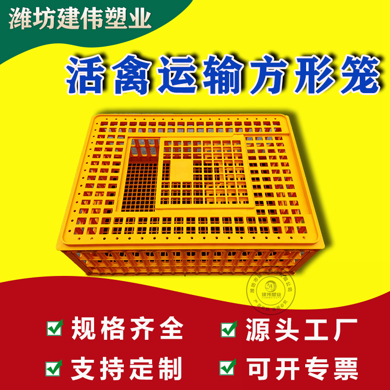 Jaula de pollo de plástico engrosada jaula de transporte de pollo, pato y ganso jaula de transporte de aves de corral vivas rectangular caja de facturación de la cesta de pollo