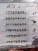 6-Glue-free small flame lower eyelashes (6mm)
