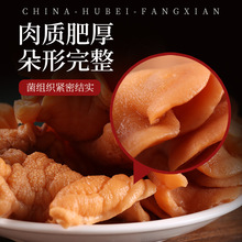 牛肚菌干货500克包邮散装榆耳菌灵芝菇鹿肝菌侧耳菌榆黄菇