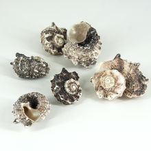 ���R�݈A������Ȼ����ؐ���~���쾰�[���ղؘ˱��ľ�з��Q�����l