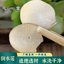 ����һ�á�����ѡ�Ļƻ���ˮ�� �ɾ�ˮϴ �ƻ��� ������ ������