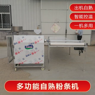 厂家带技术出售红薯粉条机 商用全自动酸辣粉机器生产视频