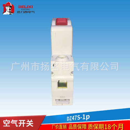 Delixi Electric small air circuit breaker DZ47S single pole 1P household stage lighting overload micro switch