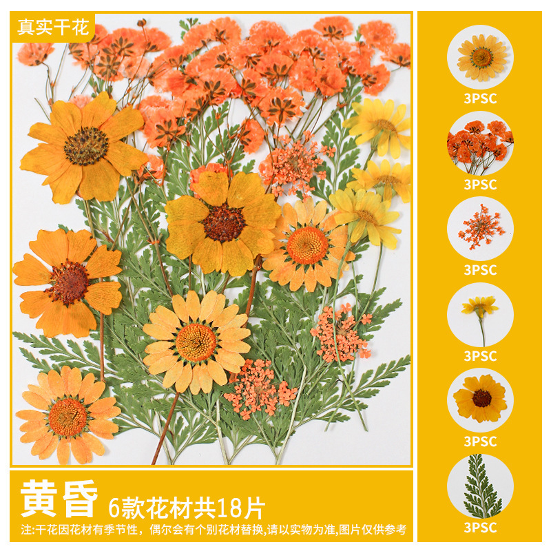 干花diy材料包永生花压花片押花草手工滴胶书签真花植物树叶标本|undefined