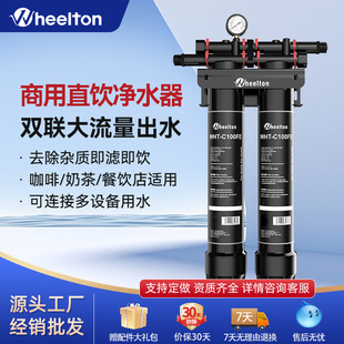 Wheelton Commercial Catering Milk Tea Water Purifier Large Flow Filter Coffee Shop Ice Maker Improves Taste
