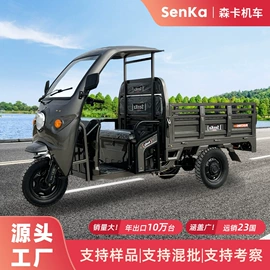 电动三轮车;其他电动车