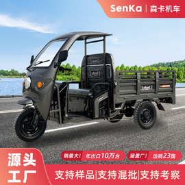 电动三轮车农用一体棚拉货载重封闭农场运输三蹦子tricycle出口