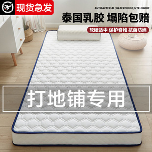 Floor Mat Mattress Pad for Students' Dormitory Single-Person Floor Sleeping Pad Foldable Sponge Sleeping Mat