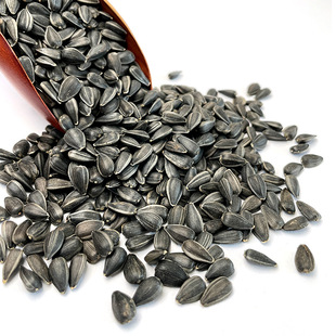 ����]С�W�^�Bʳ����͹��ӿ�����5��B�Z������}�������Z