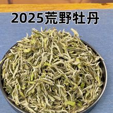 2025��ɽ����Ϙ��Ұĵ���ײ��²���y�Օ�̿����ˇɢ����~