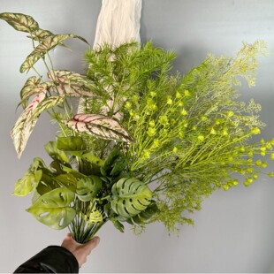 ���滨��ɭϵ��Y�õ�����߼ٻ��Gֲ����������·���廨����