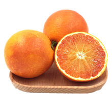 10斤整箱包郵四川資中塔羅科新鮮應季水果甜橙子紅橙手剝橙