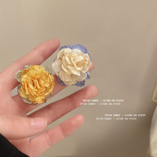 ����~��ˇ������yᘶ�� ���nins����С���OӋ�ж��hɽ�軨���