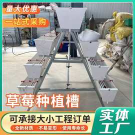 定制草莓种植槽温室大棚立体种植架无土栽培槽长度阳台种培育菜盆