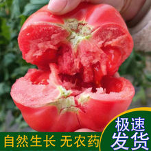 ���_��˹���t�����r�Fժɳȿ������Ȼ��ˮ���ЋD���Է������r�߲�