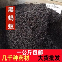 黑蚂蚁干一公斤正品特级养生中药材泡酒长白山大黑蚂蚁包邮