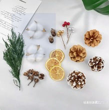 ɹɹNӘ˱bֲֹɻdiy׃@Ȼ