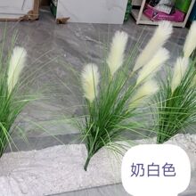 �����������^�JȔ���JȔ��β�ͲݼҾ��b�ܛ�b�쾰