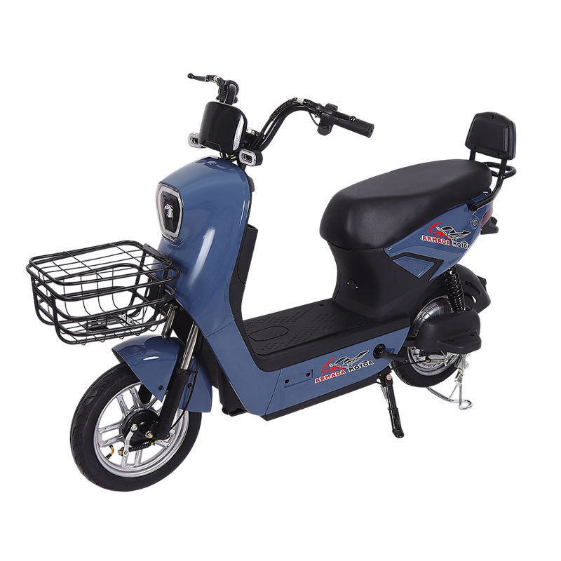 ¡Guau! Bicicletas eléctricas para adultos hechas a medida, de suministro directo, con gran autonomía, vehículos eléctricos biplaza para adultos para desplazamientos transfronterizos.