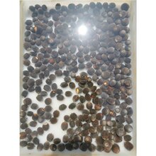 ����ɏ�N�ӡ�����С�����^�p�ɻ������S����Ʒ����ɏԷ