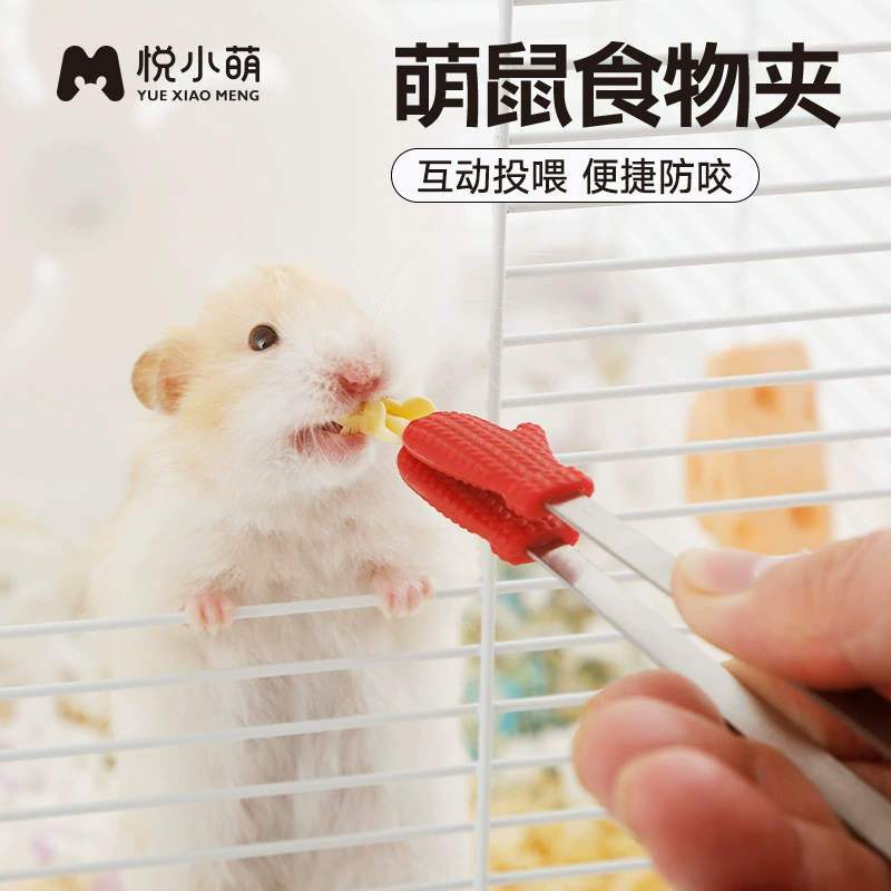 Юэ Сяомэн хомяк кормит зажим, золотой медведь кормит хлебных червей