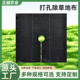 切片防草布 农业打孔盖草布防草柑橘脐橙枇杷零裁除草布抑杂草地