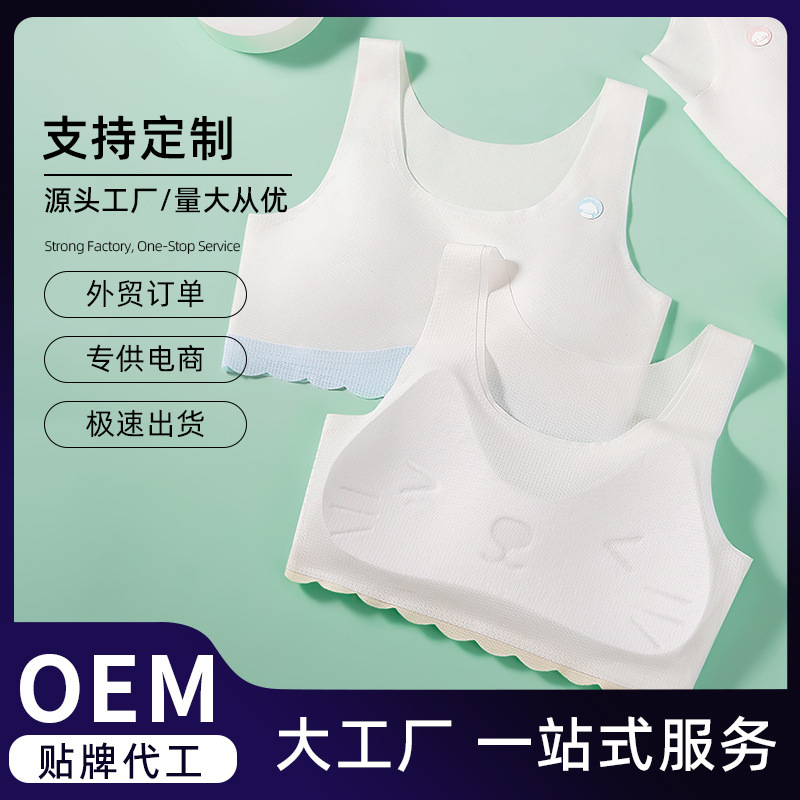 Customized Two-Stage Seamless Cute Cat Underwear, Sweet, Soft, Comfortable Bra, Lightweight, Beautiful Back, Student Small Underwear Customized Two-Stage Seamless Cute Cat Underwear, Sweet, Soft, Comfortable Bra, Lightweight, Beautiful Back, Student Small Underwear