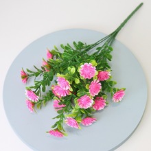 �������m�����Ͻ��X���ȼ����~�� ����ɏ�� ֲ��@ˇ��Ʒ�b�