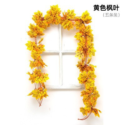황 펑