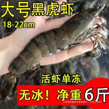 �r���ϻ��r�ك��߹��r��o���Ź��r������r�����r���