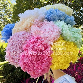 永生花;鲜花花艺制品;干花