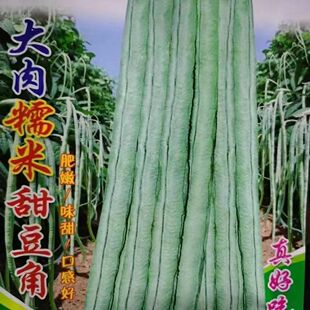 ���óԴ���Ŵ���𶹽ǷN�����L���Ǵ����ﲥ�����׷N�߲˷N�Ӵ�ȫ