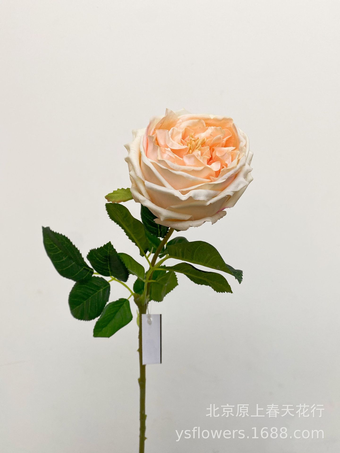 Siente artificial hidratante atin Rose Bud Core Rose temporada accesorios de tiro flor falsa planta decorativa flor falsa