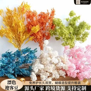 Ưɫӭ�Ͷ����������Ļ�c�����b������ɻ�������Y�b[��