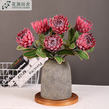 仿真帝王花高档家居花艺装饰南非菩提花海神花植绒欧式人造花材