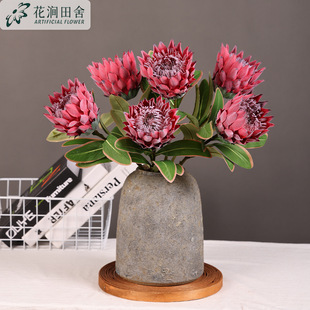 ����������ߙn�Ҿӻ�ˇ�b��Ϸ����Ứ����ֲ�q�Wʽ���컨��