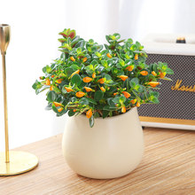 金鱼吊兰盆栽室内盆景花卉新手好养观花绿植带花大盆黄色金鱼吊兰