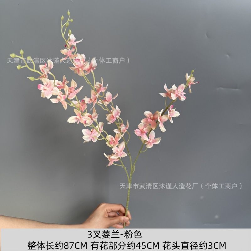 3갈래의 마름모 난초