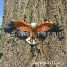 �羳��֬��ˇƷ�����������^�����ڵ��ܵ�������@ͥԺ�bҾ�