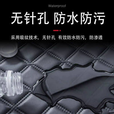 Special Seal 06dmi Trunk — Trunk Mat