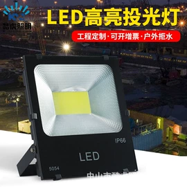 投光灯;太阳能灯;投射灯