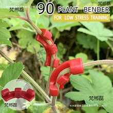 ֲ��A��������춻�������֦�l�͉�Ӗ���A90��ֲ���oӖ�������L�A